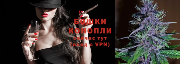прущие грибы Козловка