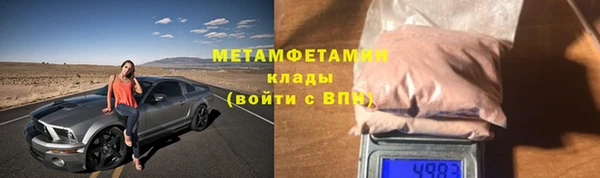 шишки Корсаков