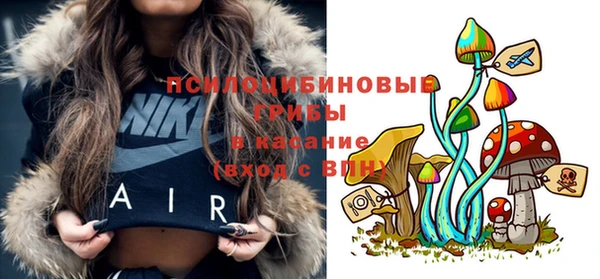 прущие грибы Козловка