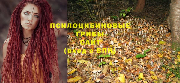 прущие грибы Козловка