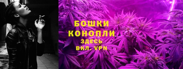 прущие грибы Козловка