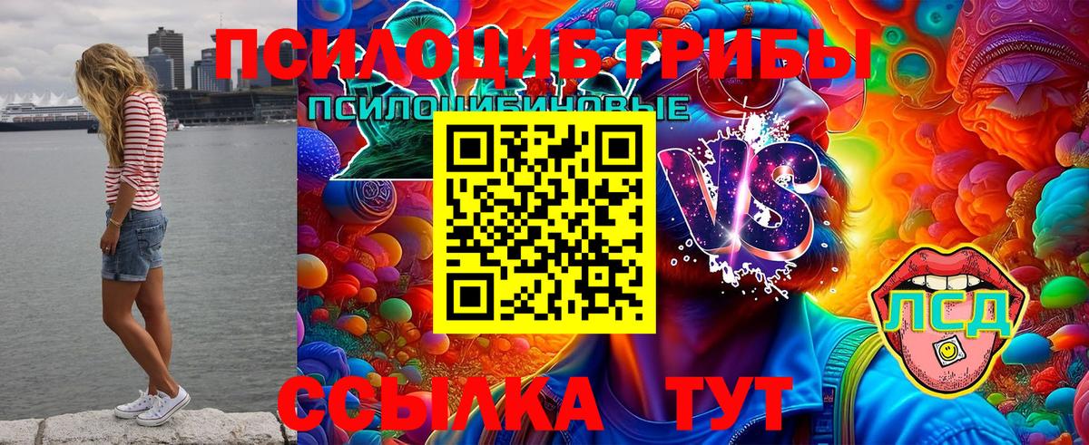 Псилоцибиновые грибы Magic Shrooms  Вход с VPN  Октябрьский 