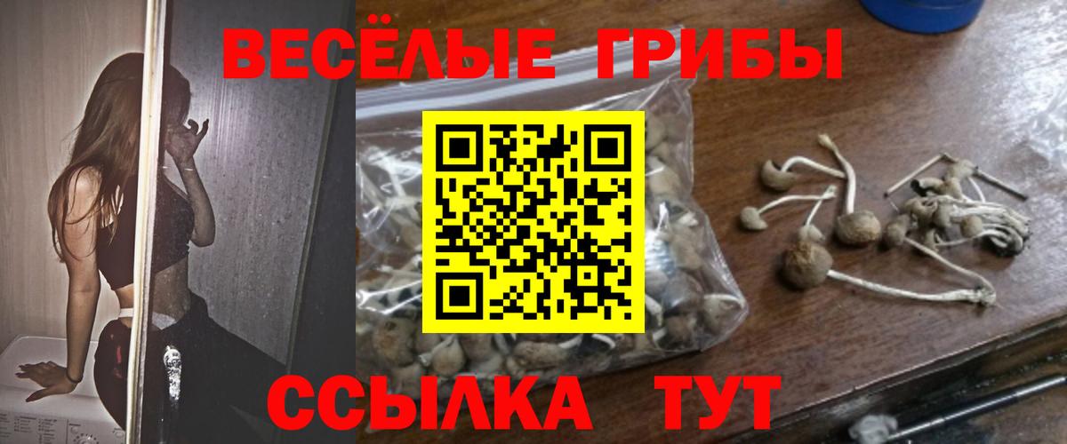 Псилоцибиновые грибы Magic Shrooms Октябрьский