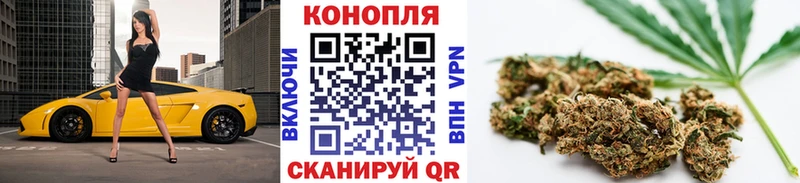 закладка Октябрьский Марихуана сатива